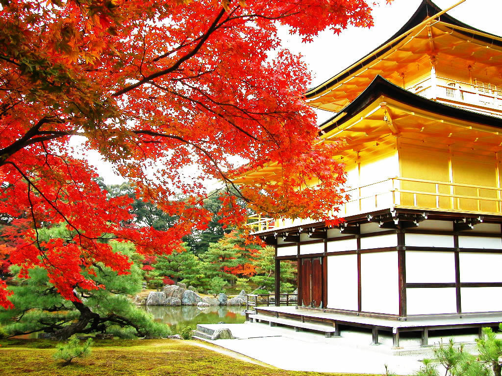 330px-金閣寺_01.jpg